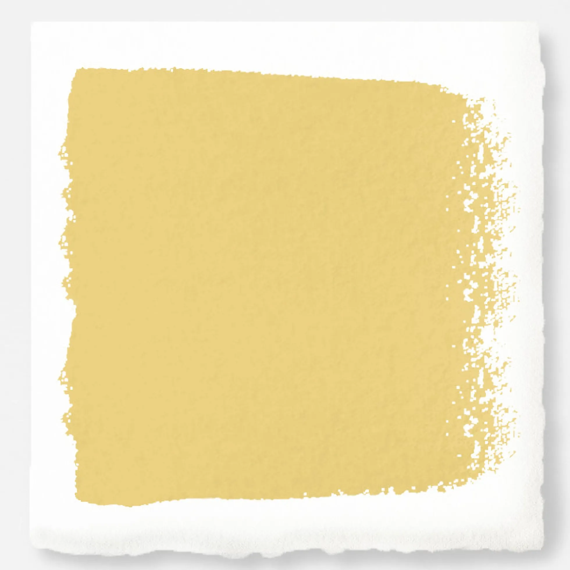 Amber - Classic Interior Paint