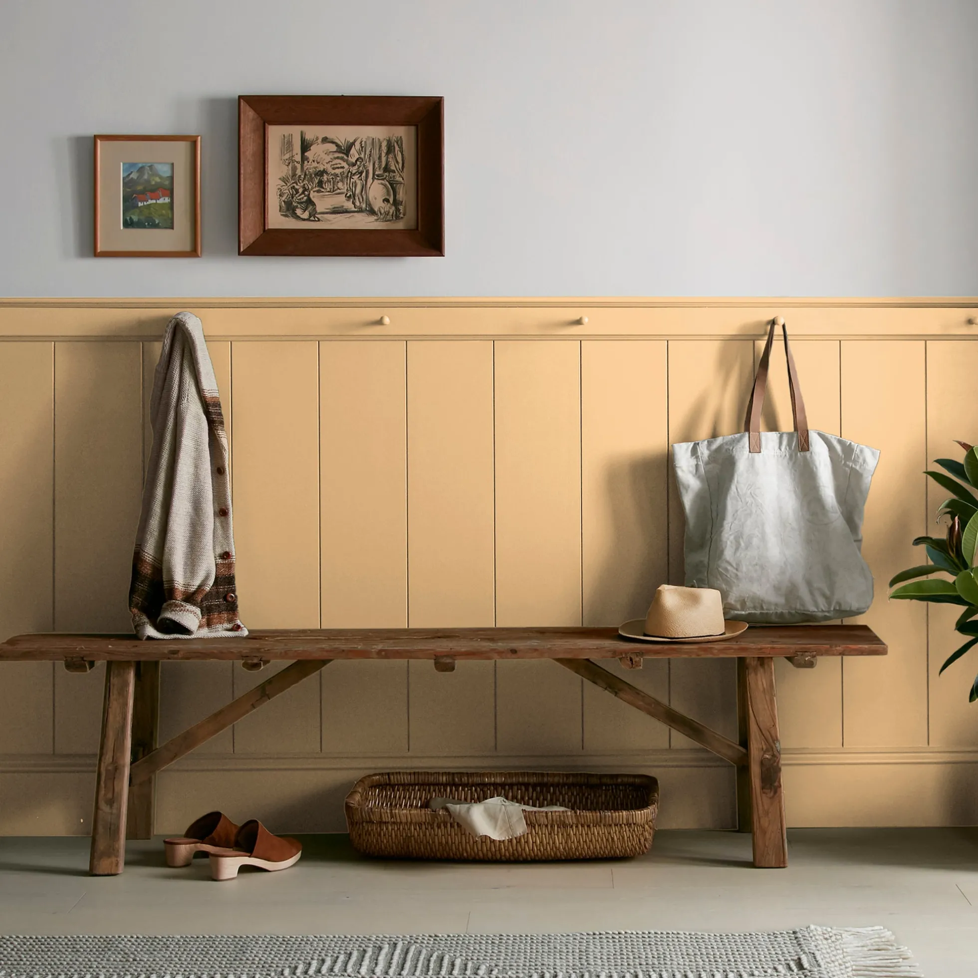 Amber - Classic Interior Paint