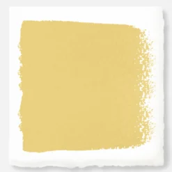 Amber - Premium Interior Paint