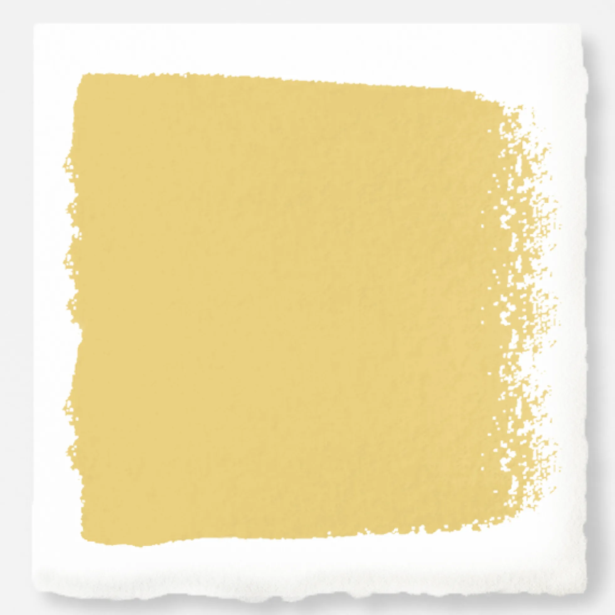 Amber - Trim, Door + Cabinetry Paint