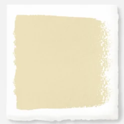 Ambient Light - Exterior Paint