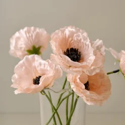 Anemone Bouquet