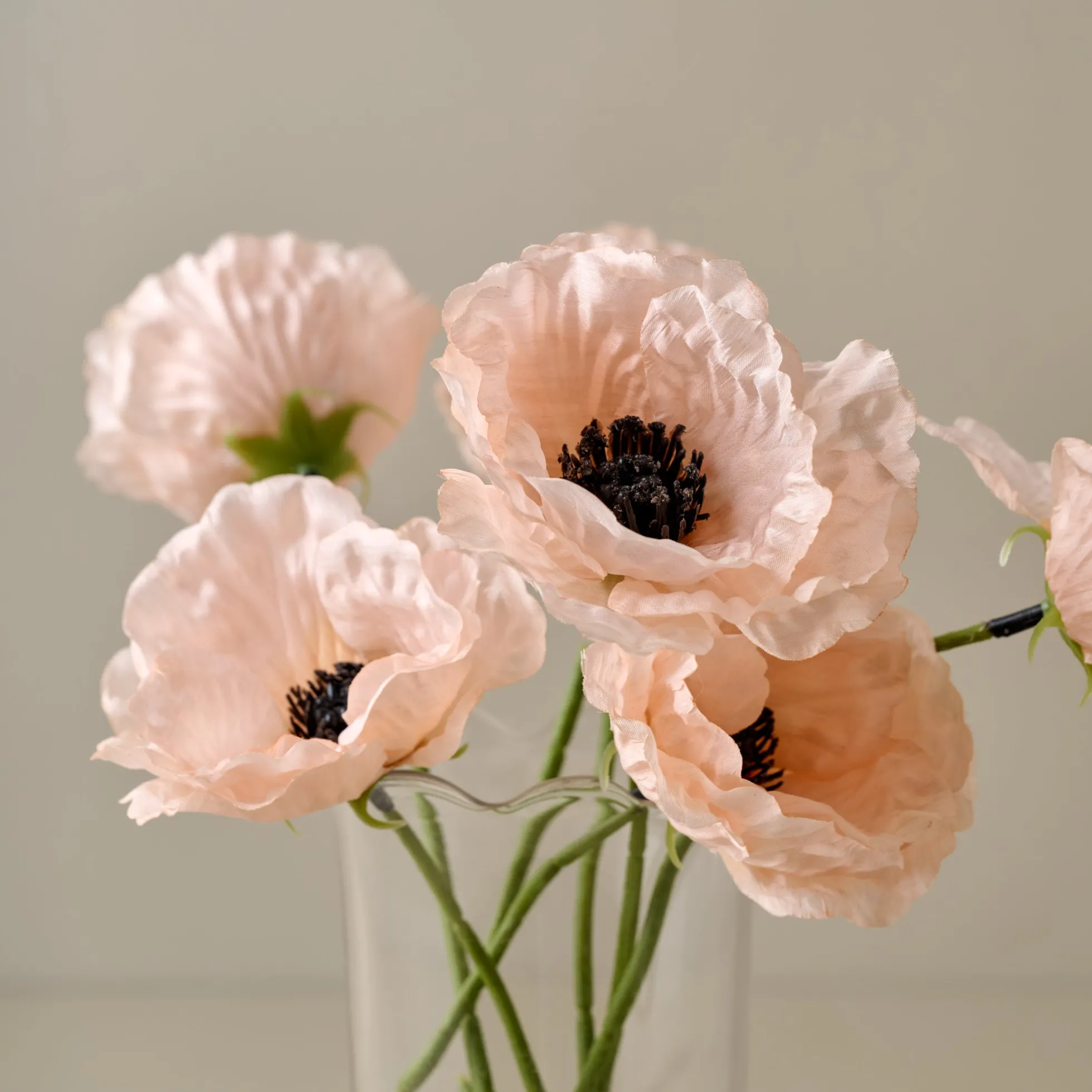 Anemone Bouquet