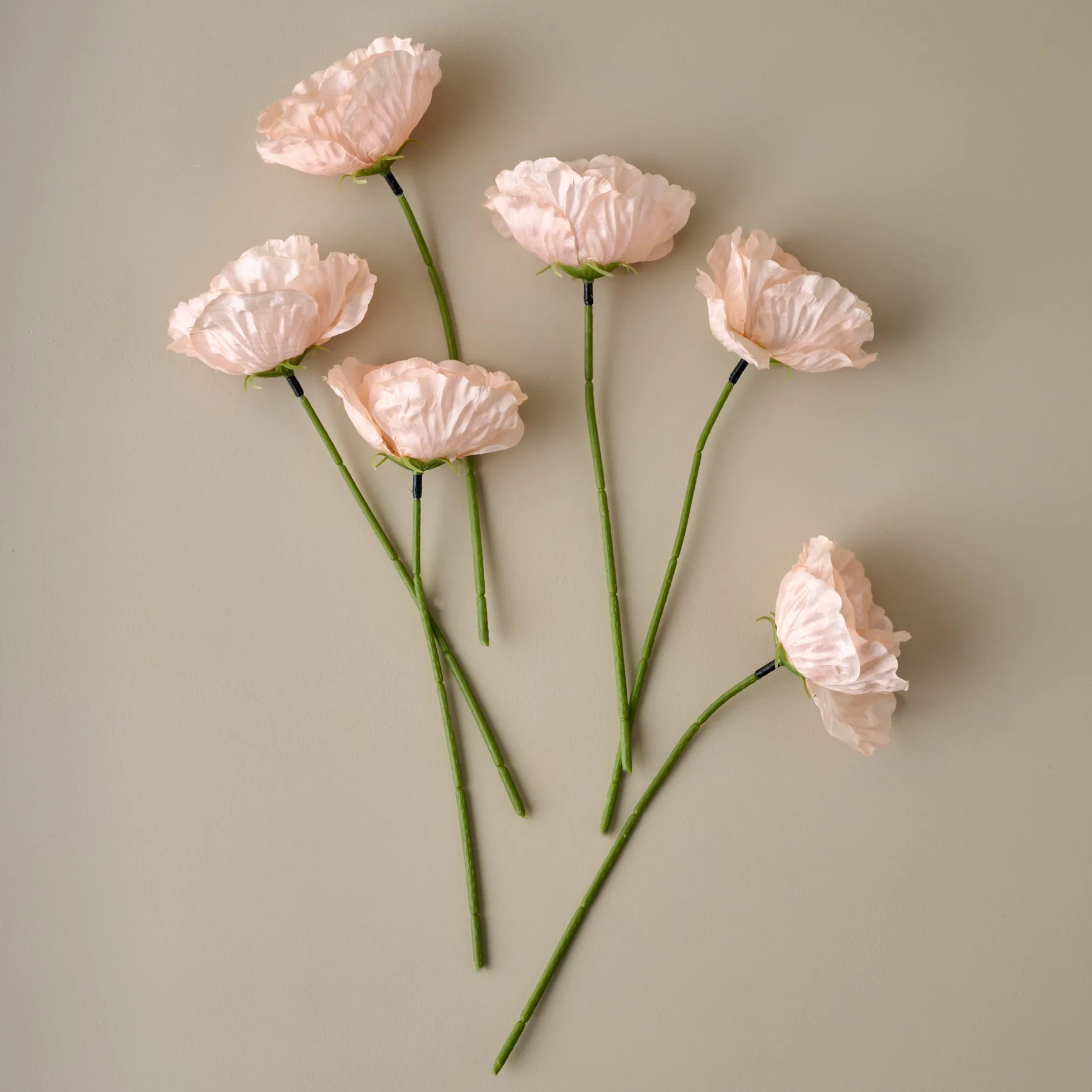 Anemone Bouquet