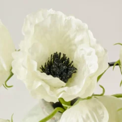 Anemone Bouquet