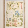 Antique Botanical Study II Framed Art