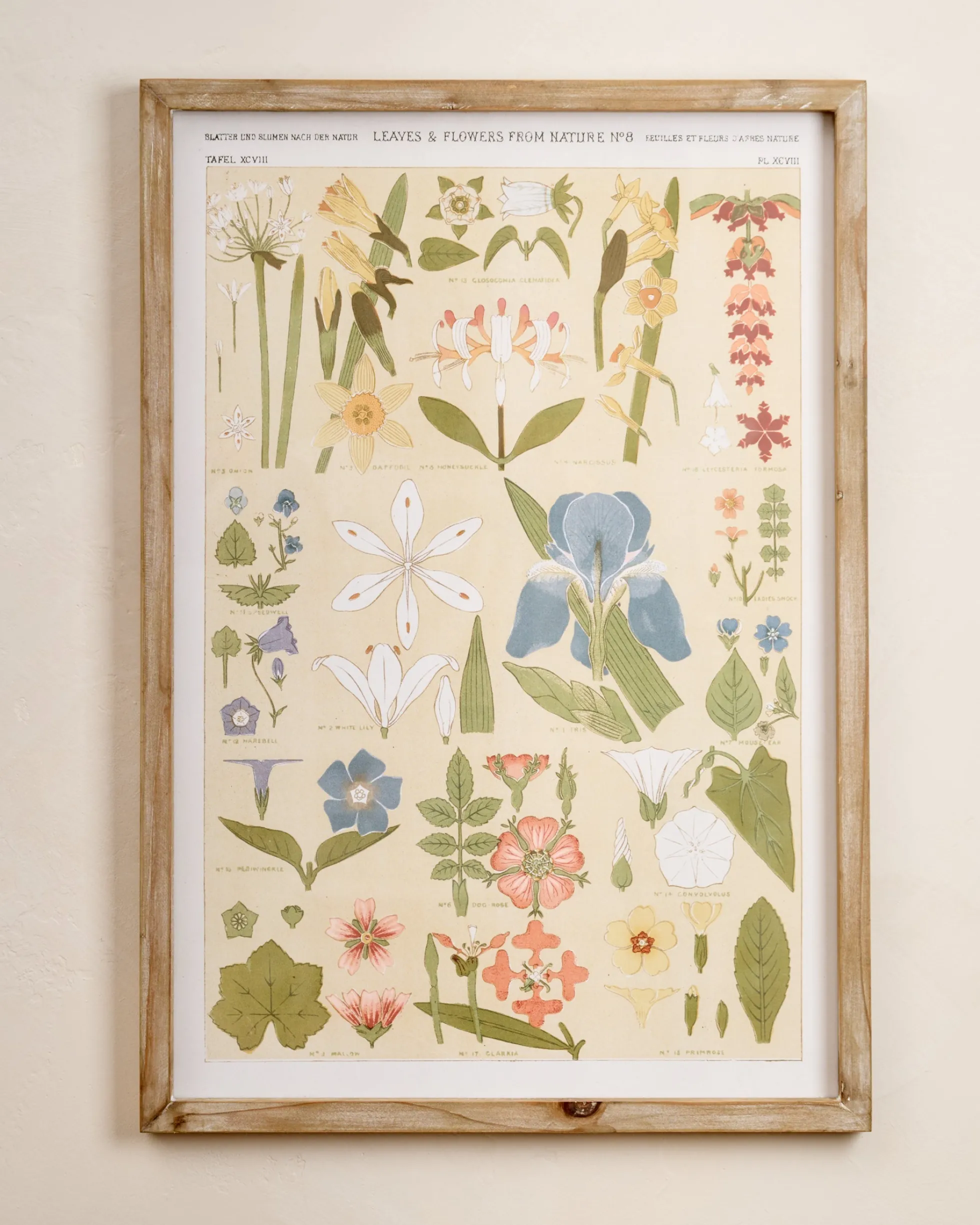 Antique Botanical Study II Framed Art