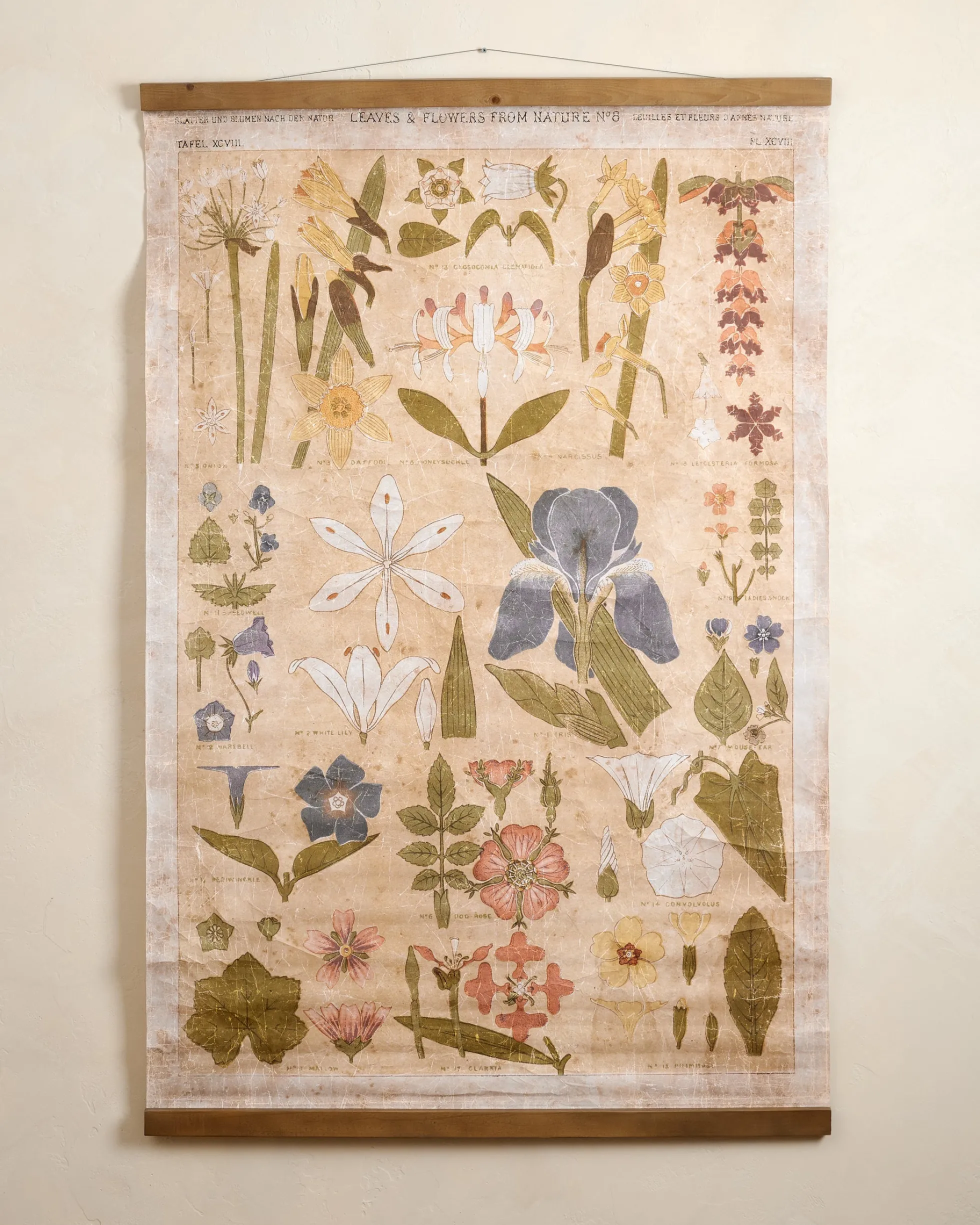 Antique Botanical Study II Tapestry