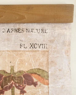 Antique Botanical Study II Tapestry
