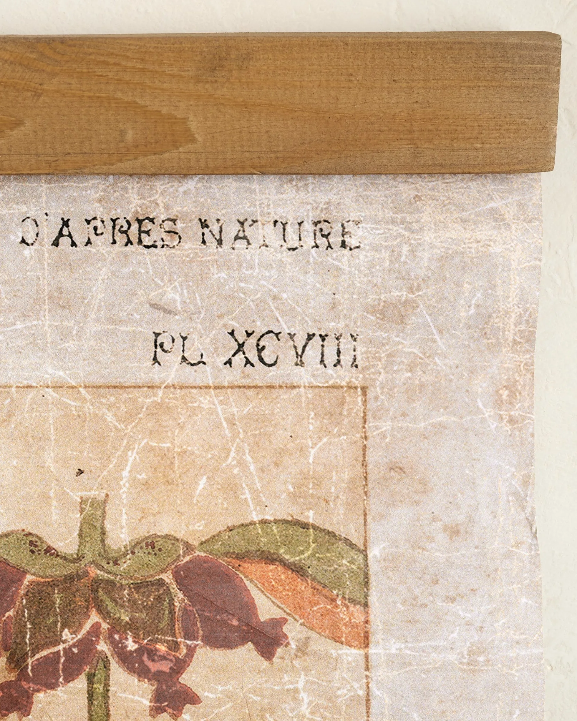 Antique Botanical Study II Tapestry