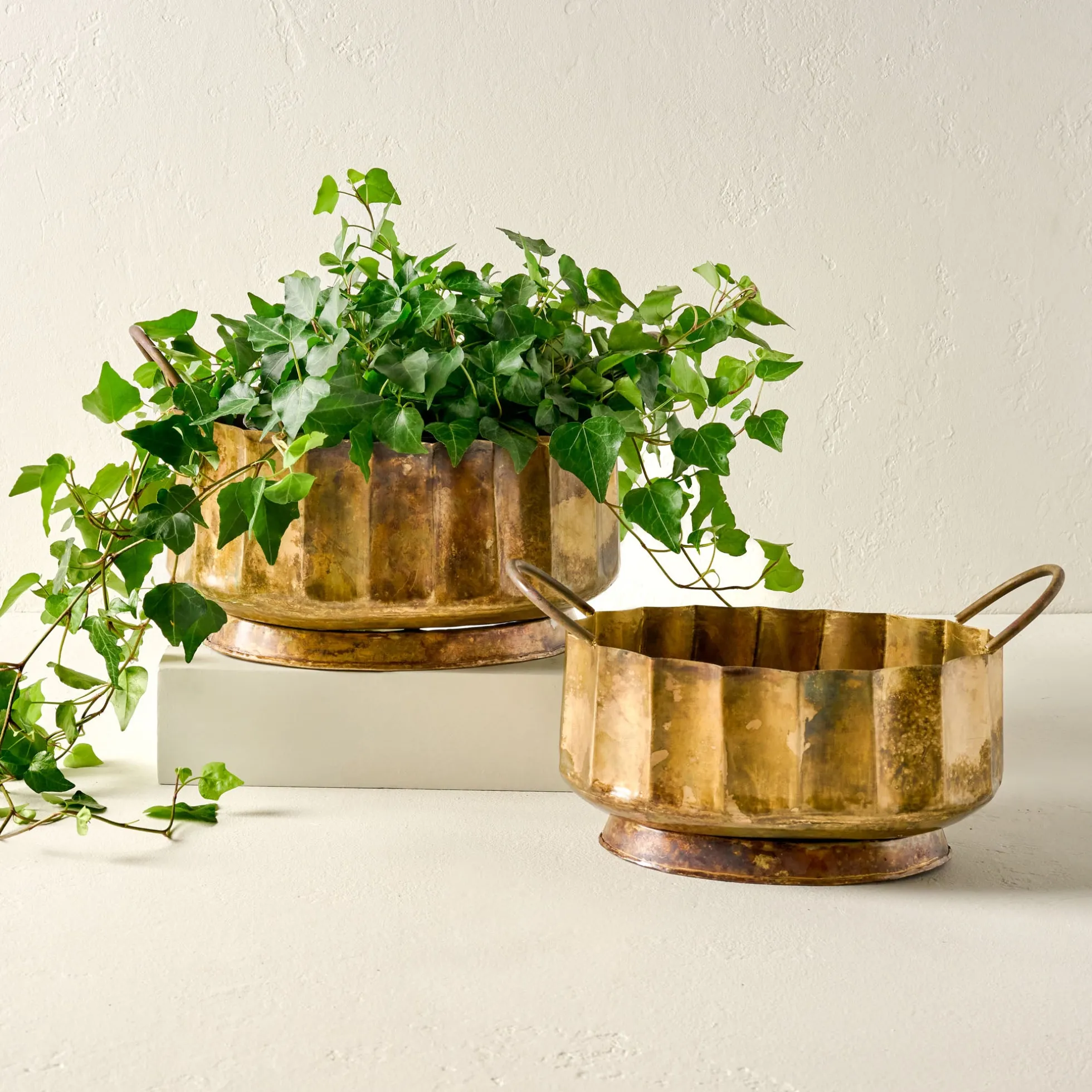 Antique Brass Planter with Handles