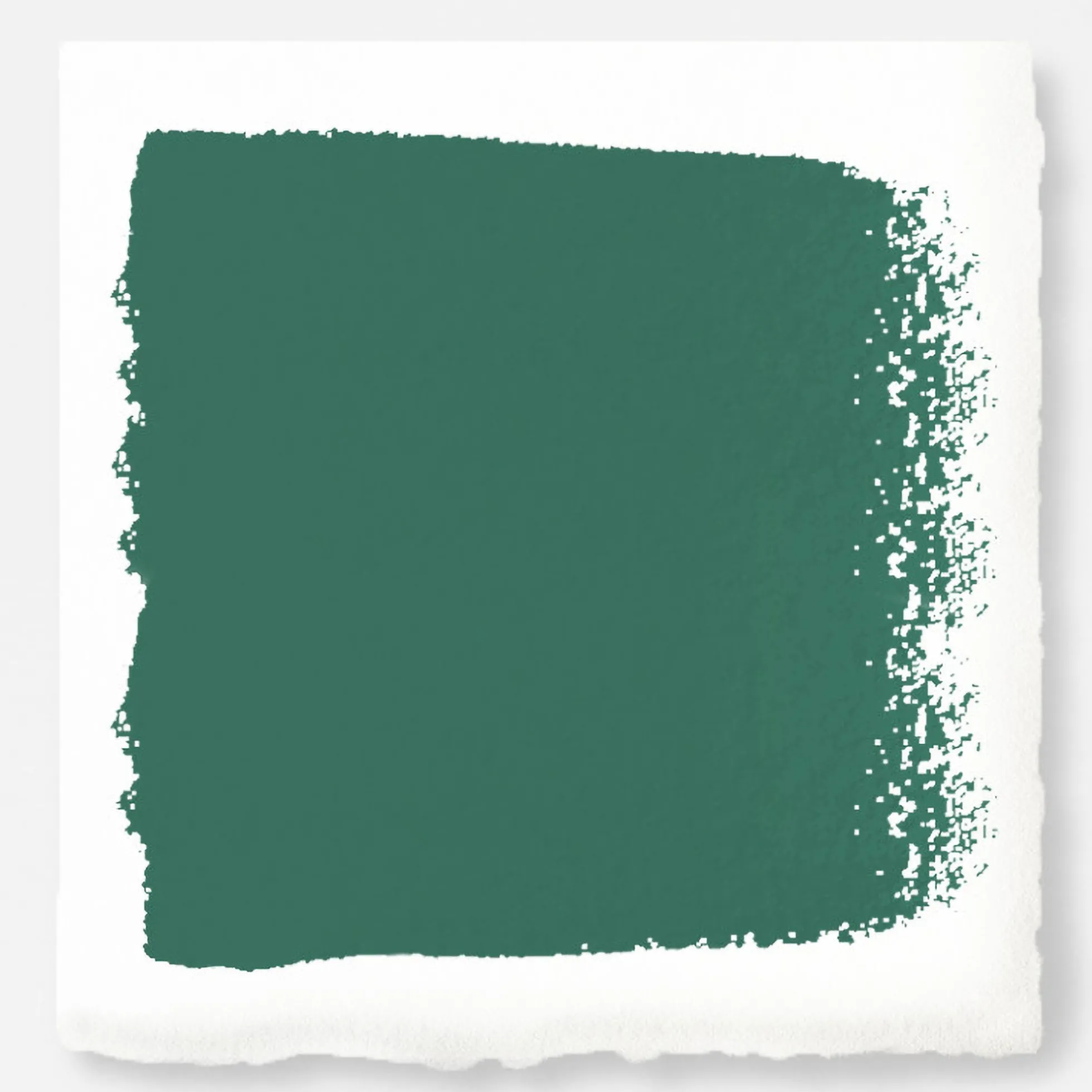 Aspen Leaf - Classic Interior Paint