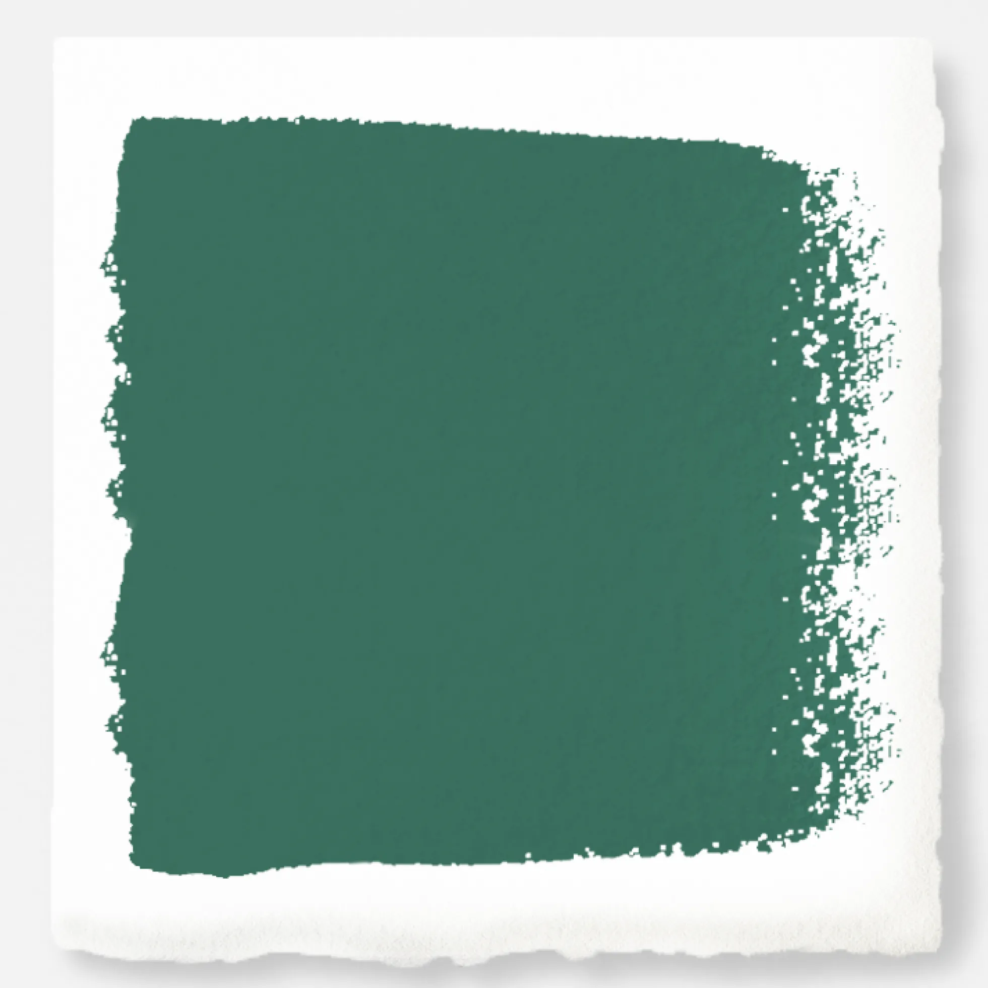 Aspen Leaf - Premium Interior Paint