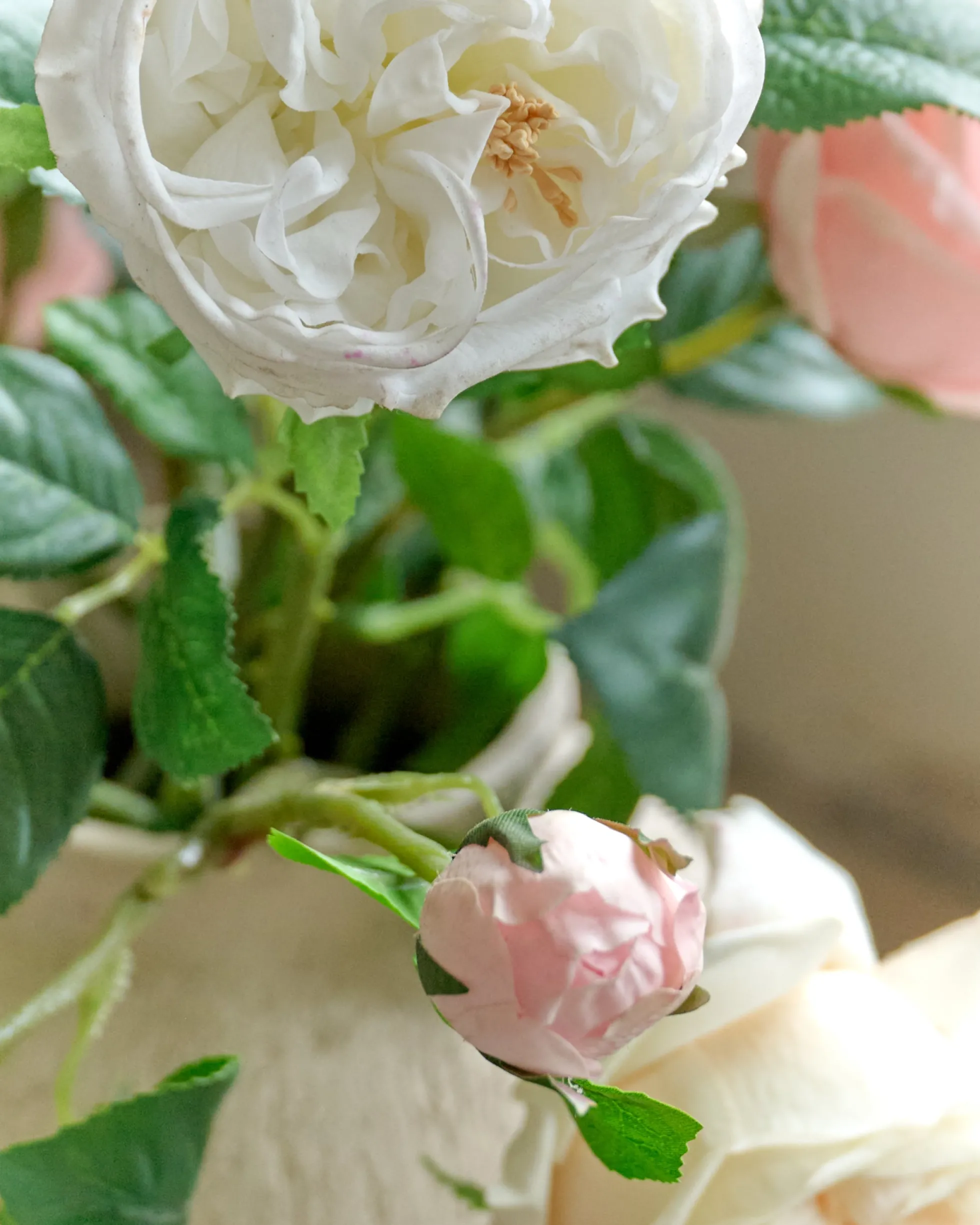 Austin Rose Stem