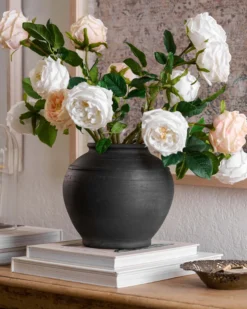 Austin Rose Stem