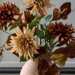 Autumnal Dahlia