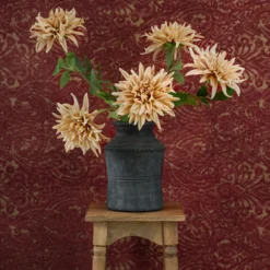 Autumnal Dahlia