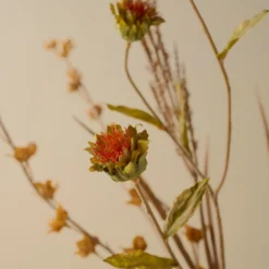 Autumnal Mixed Floral Bouquet