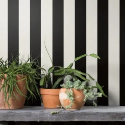 Awning Stripe Wallpaper