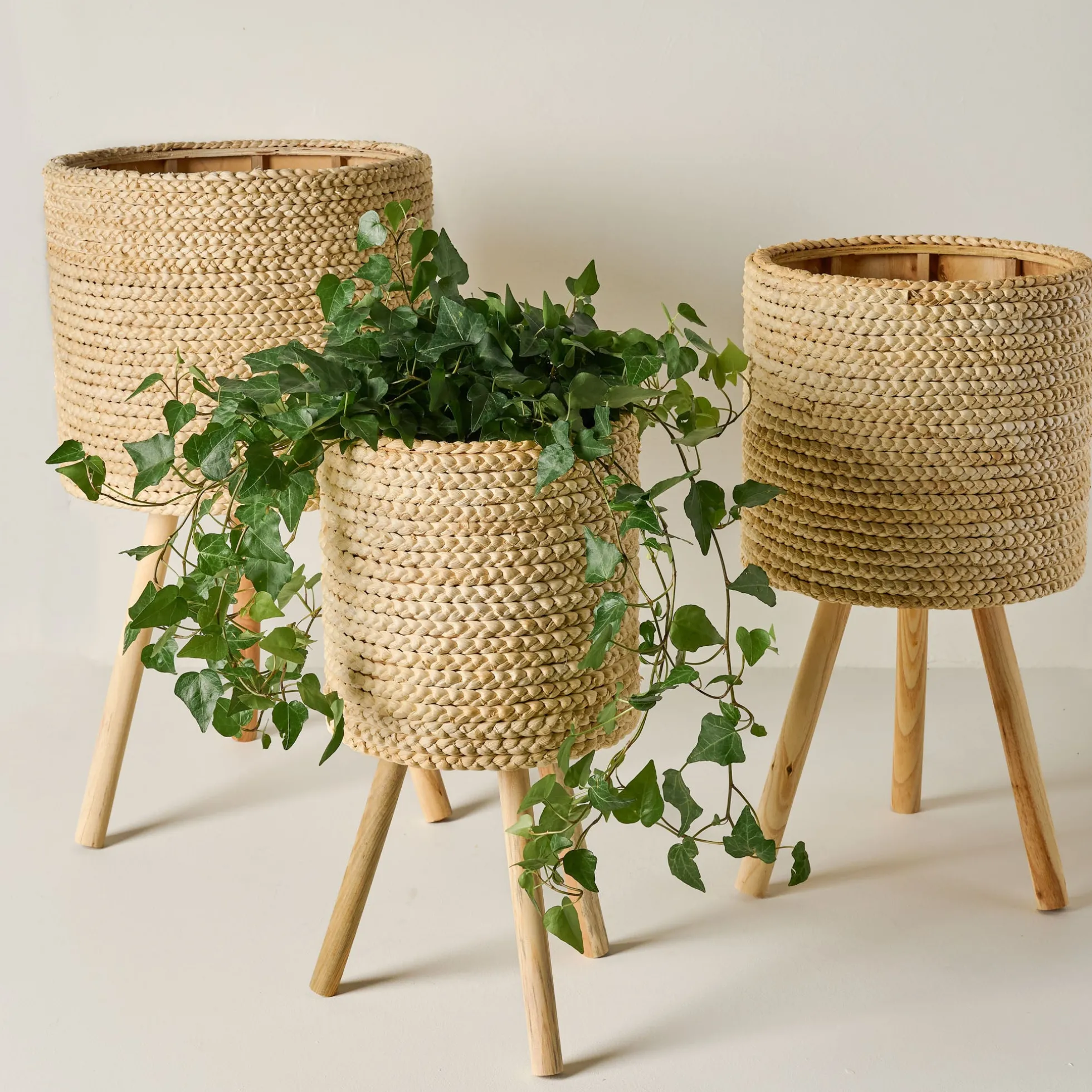 Bleached Woven Plant Stands