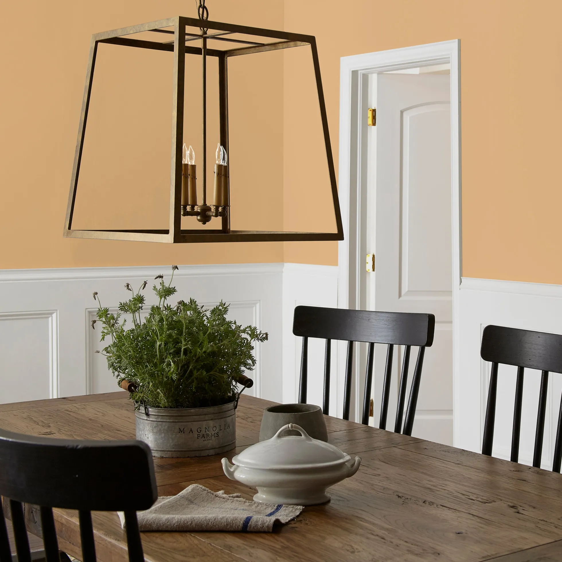 Bright Days - Classic Interior Paint