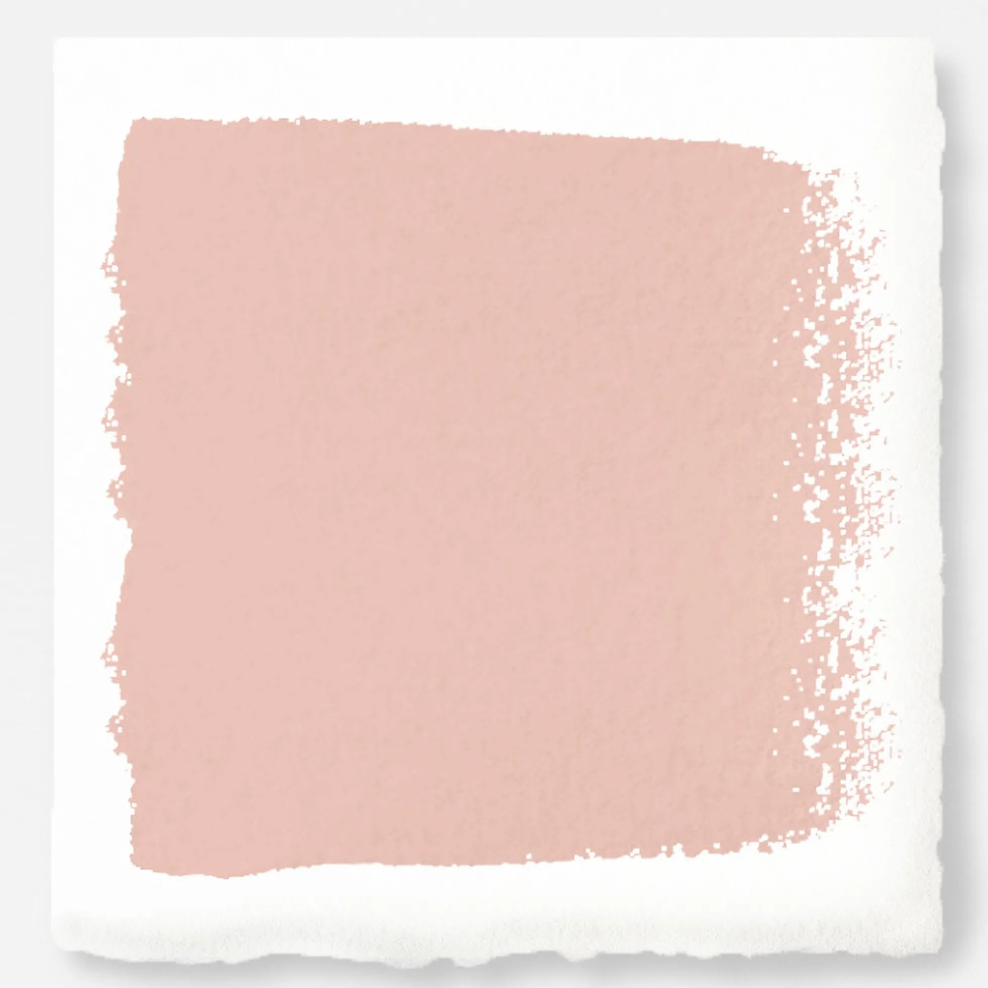 Cabbage Rose - Classic Interior Paint