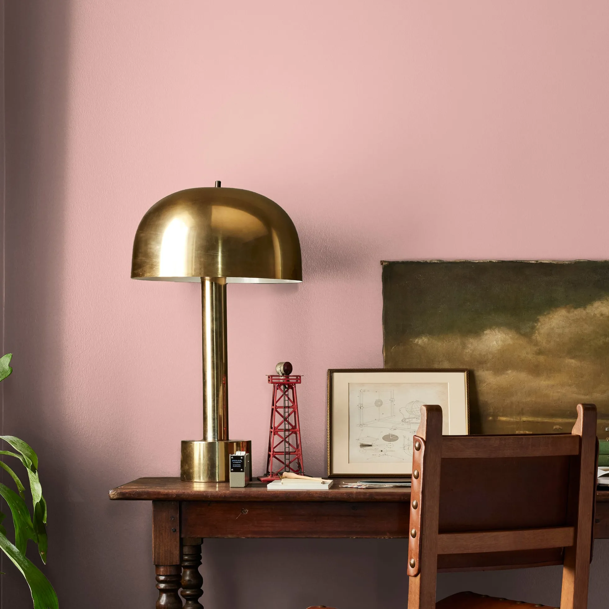 Cabbage Rose - Premium Interior Paint