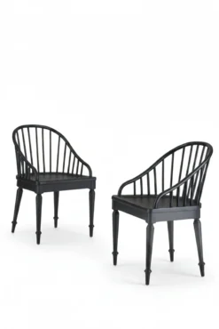 Carlotta Dining Chairs (Set of 2)