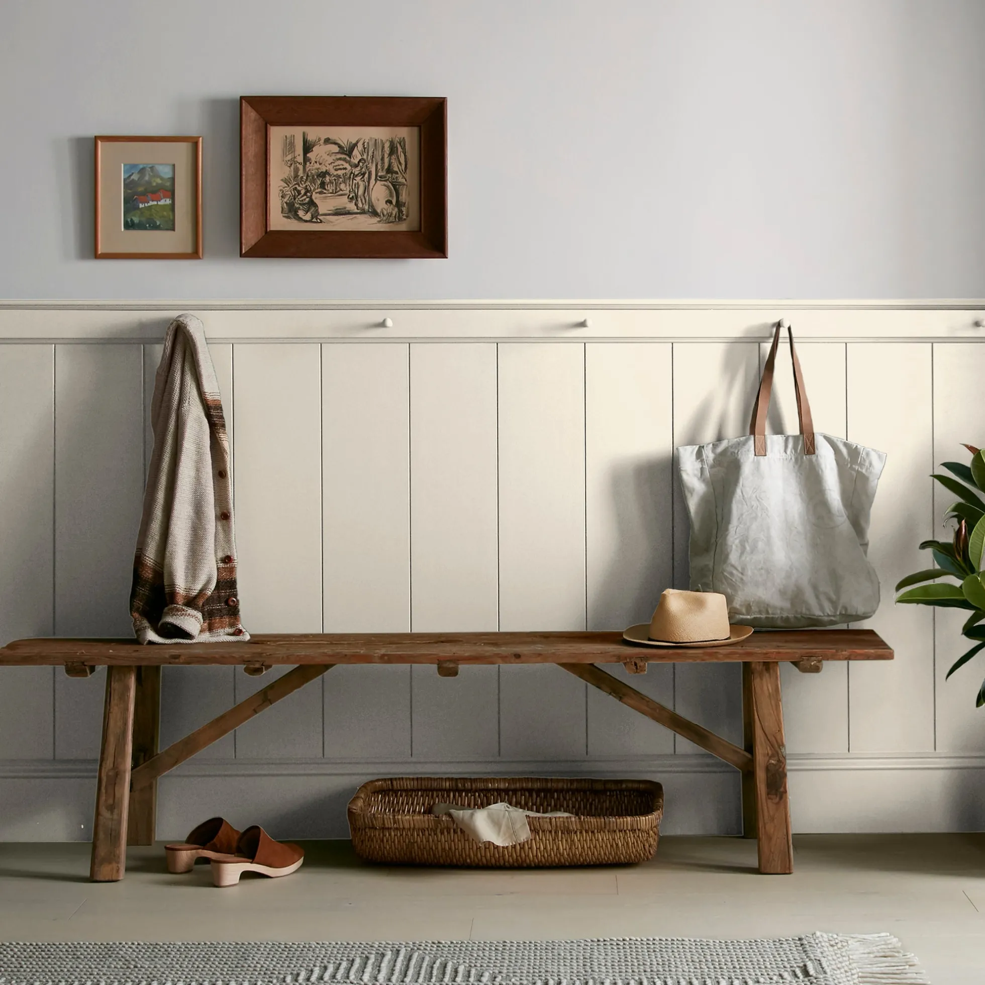 Carter Crème - Premium Interior Paint