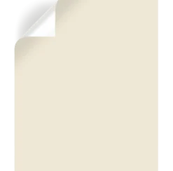 Carter Crème - Premium Interior Paint