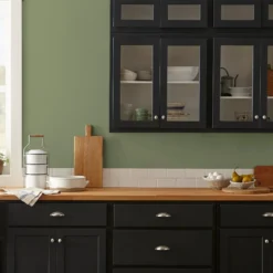 Celery Seed - Premium Interior Paint