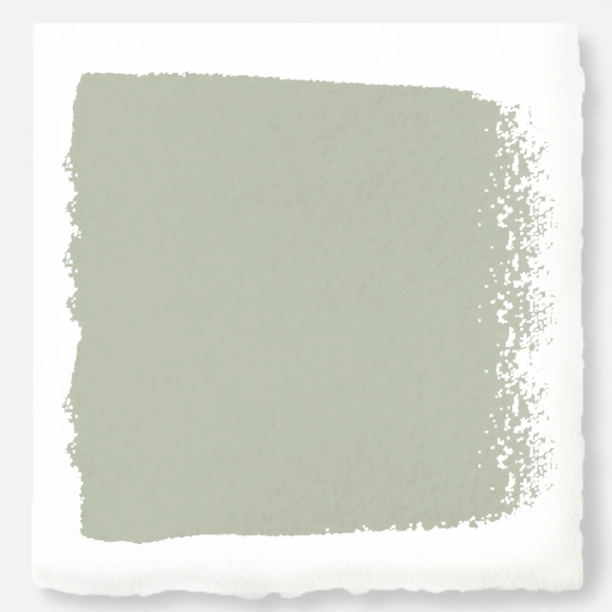 Clean Lines - Premium Interior Paint
