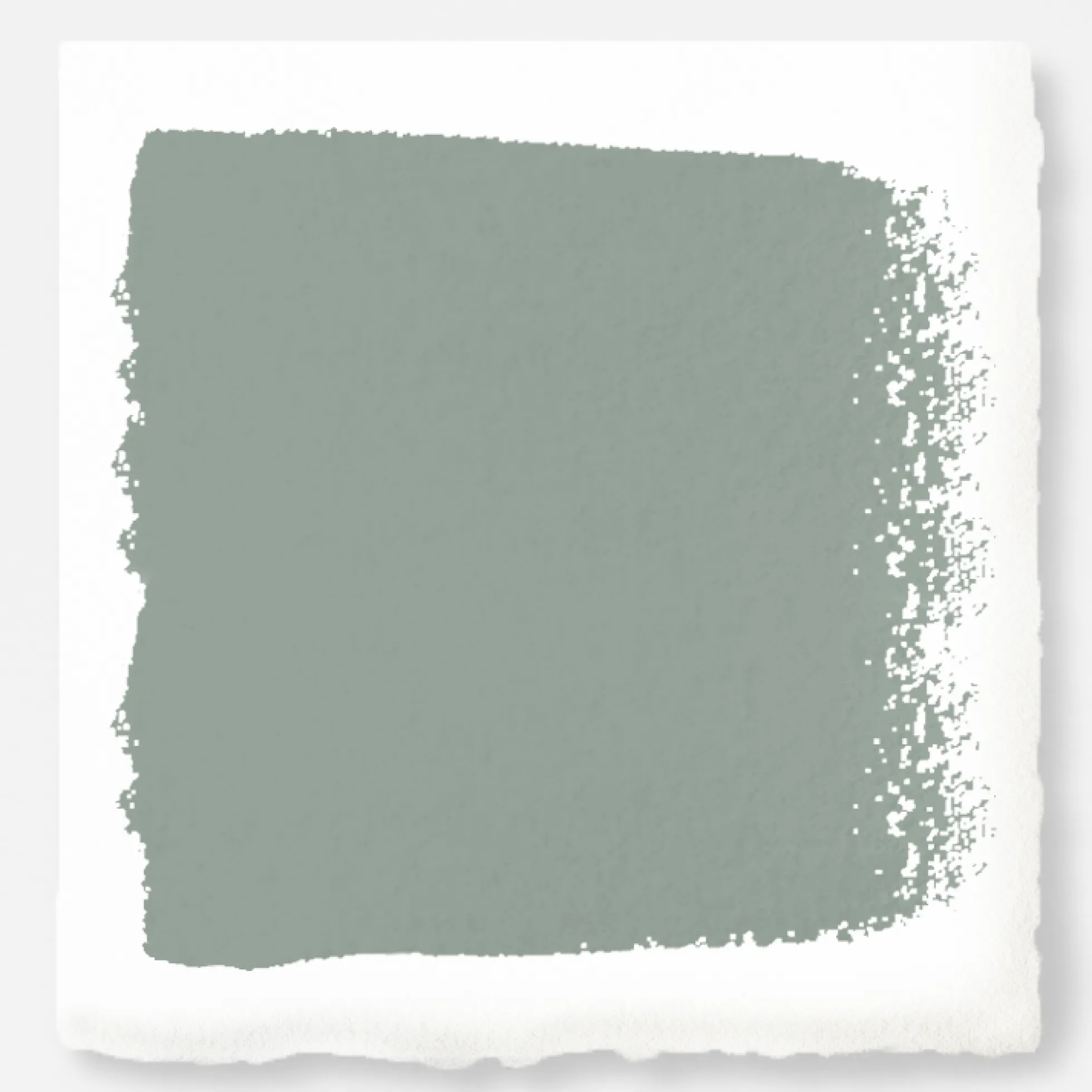 Clean Slate - Premium Interior Paint