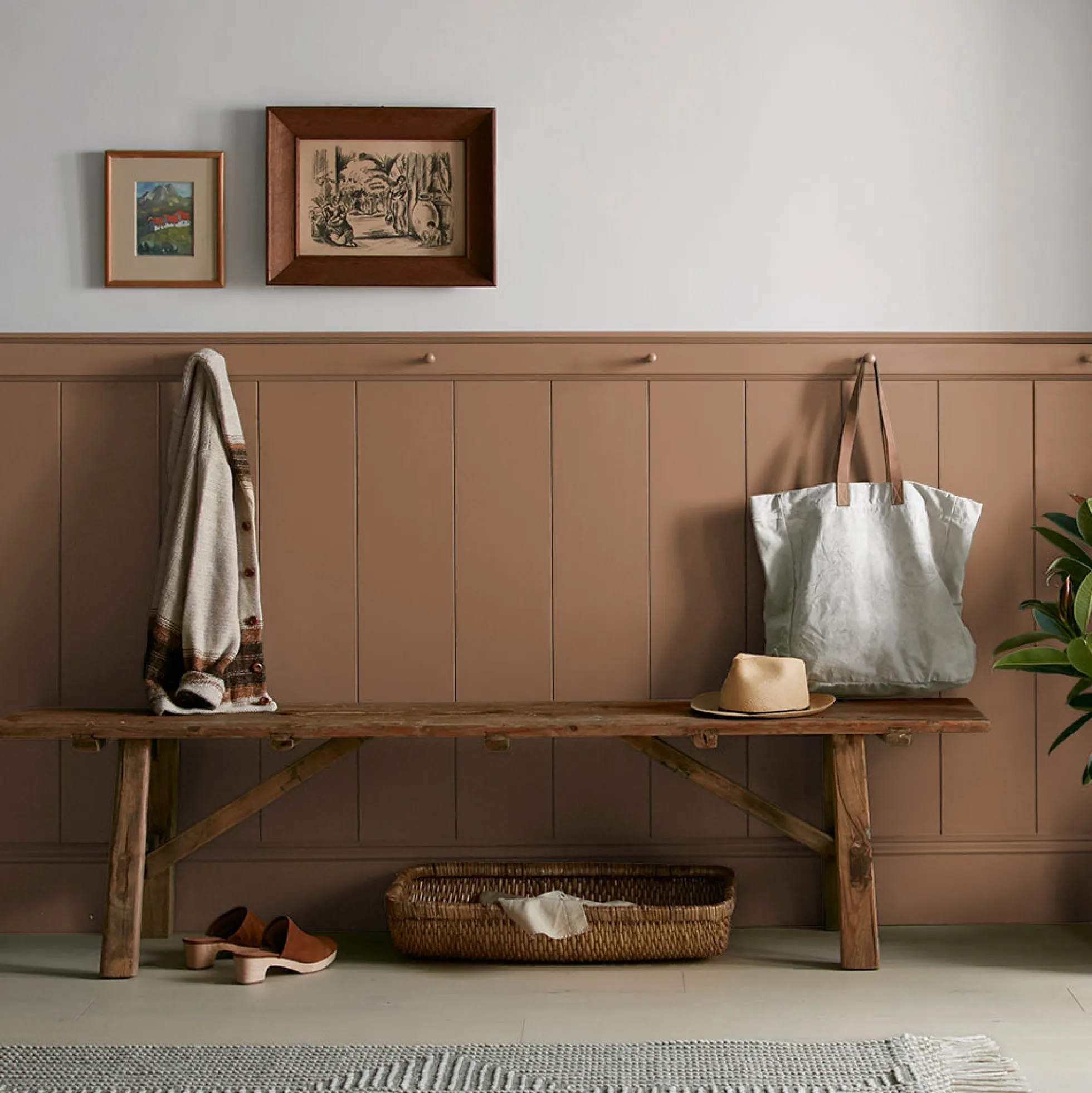 Cognac - Premium Interior Paint