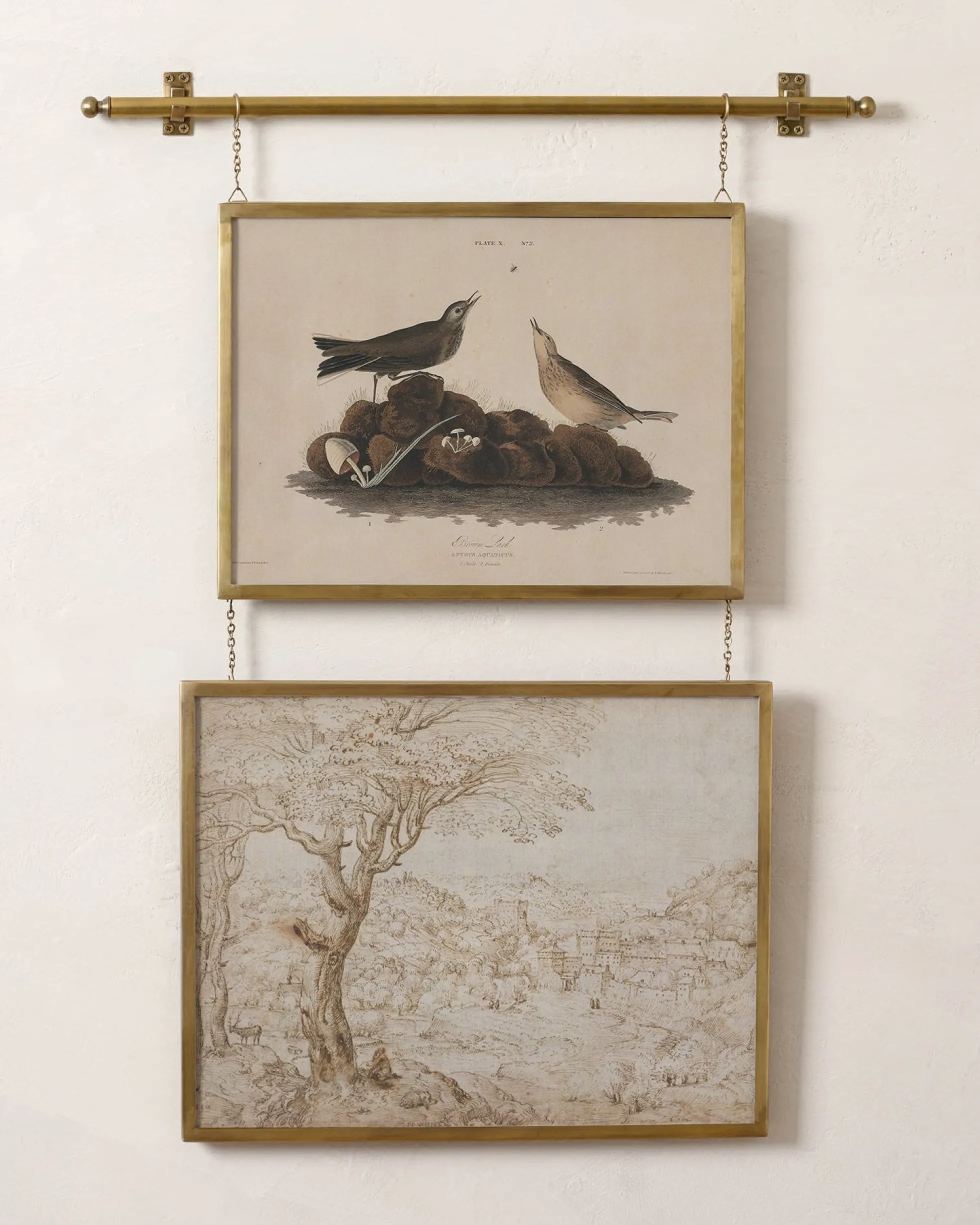 Colleen Brass Rail Double Picture Frame
