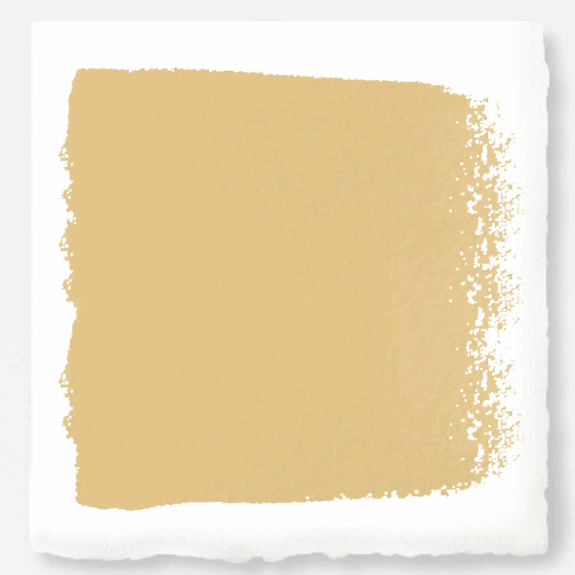 Cottage Feel - Premium Interior Paint