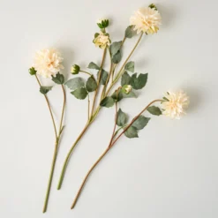 Dahlia Bloom Bundle