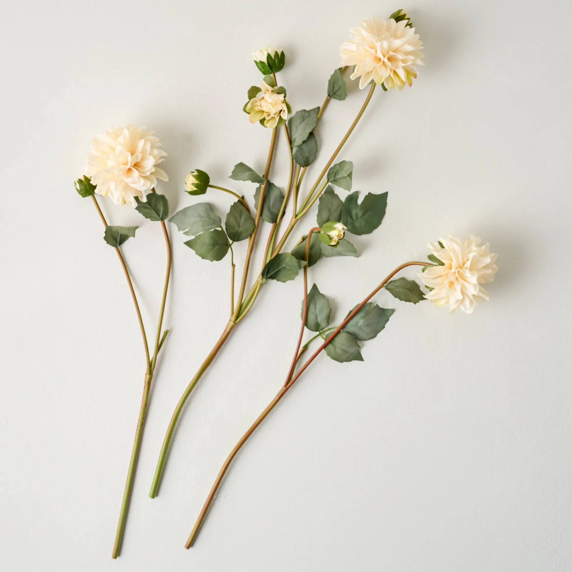 Dahlia Bloom Bundle