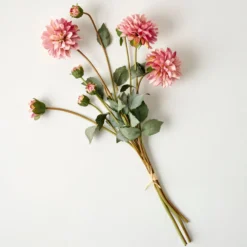 Dahlia Bloom Bundle