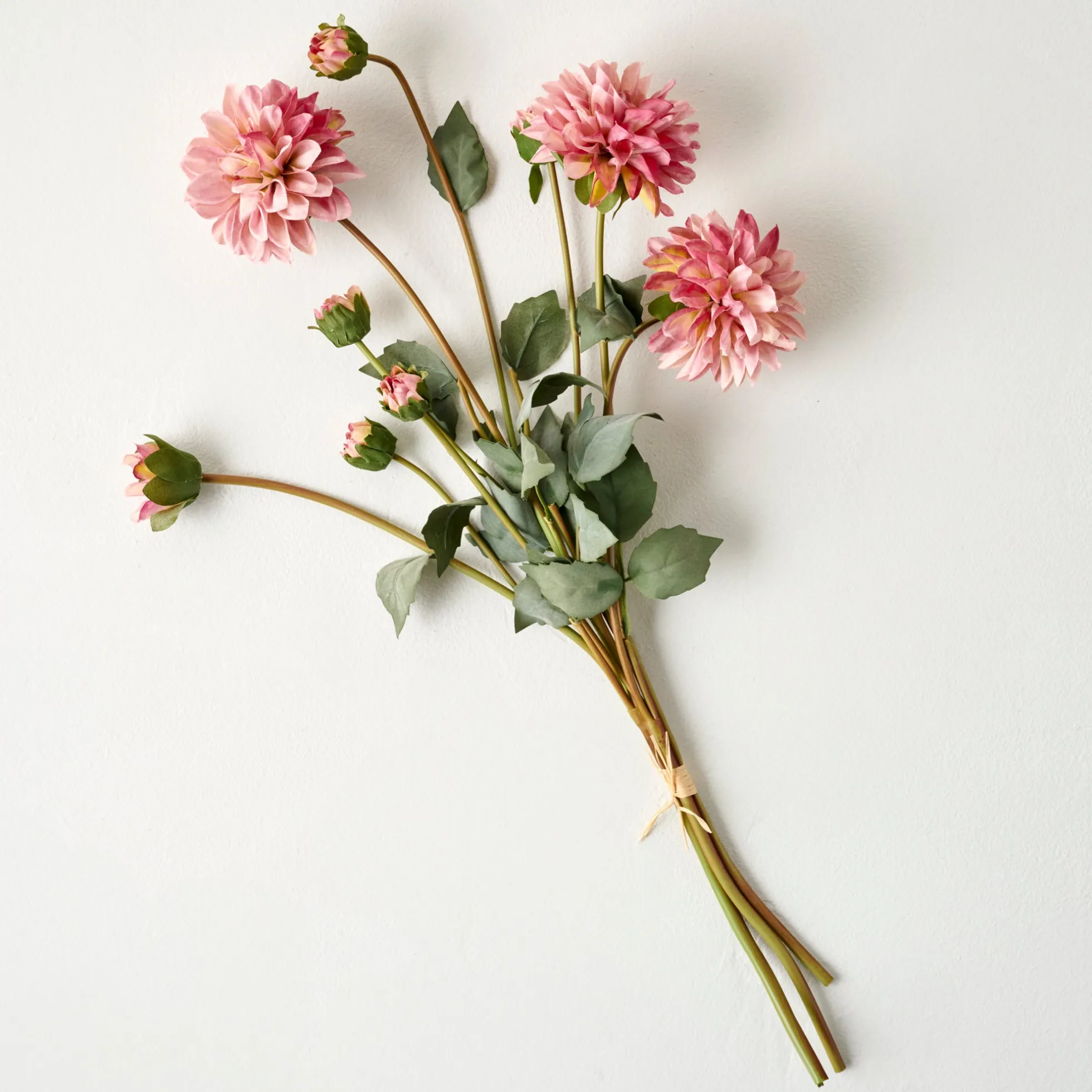 Dahlia Bloom Bundle