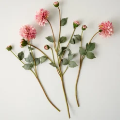 Dahlia Bloom Bundle