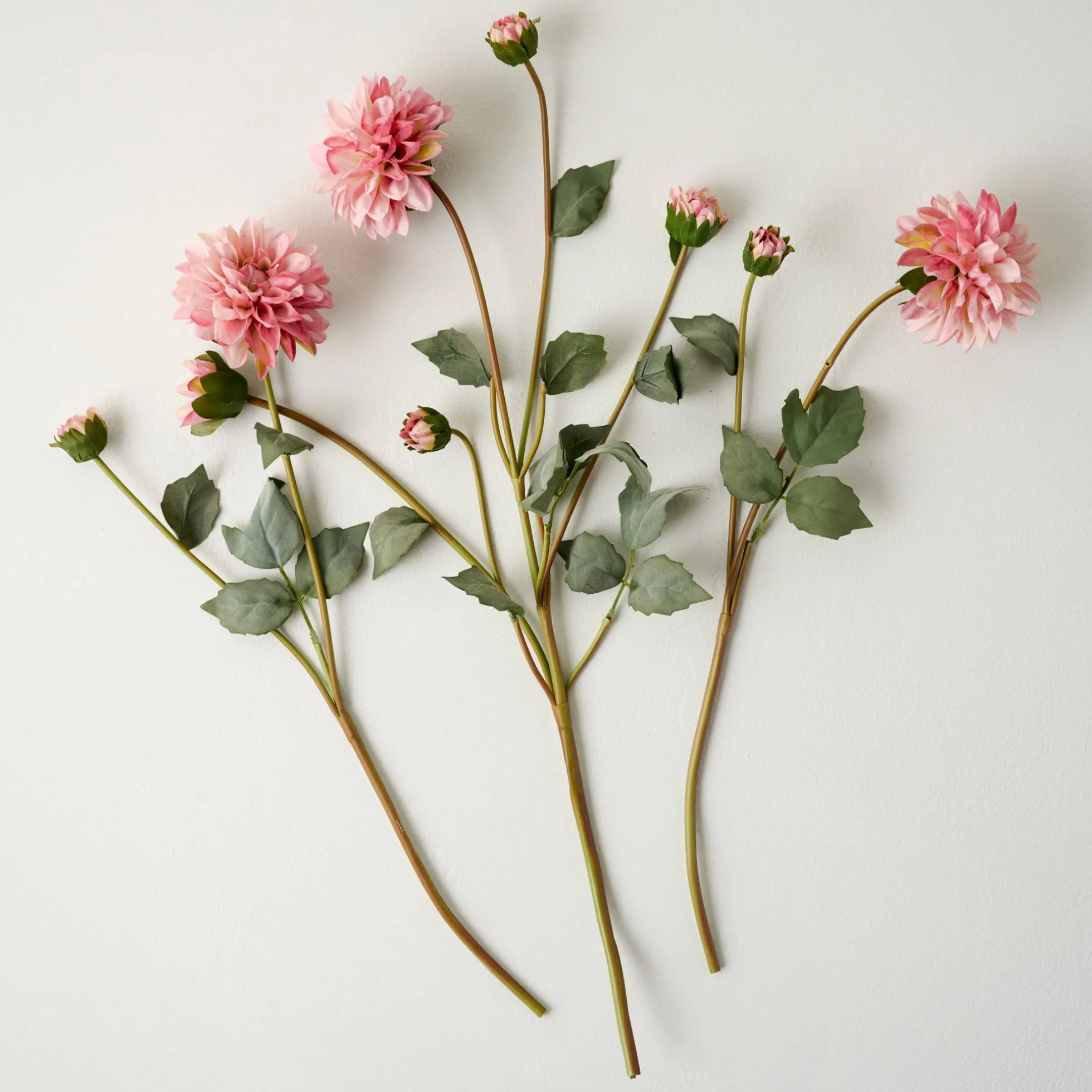 Dahlia Bloom Bundle