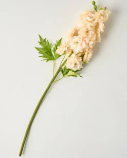 Delphinium Stem