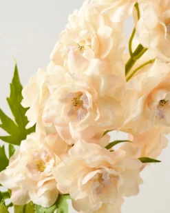Delphinium Stem