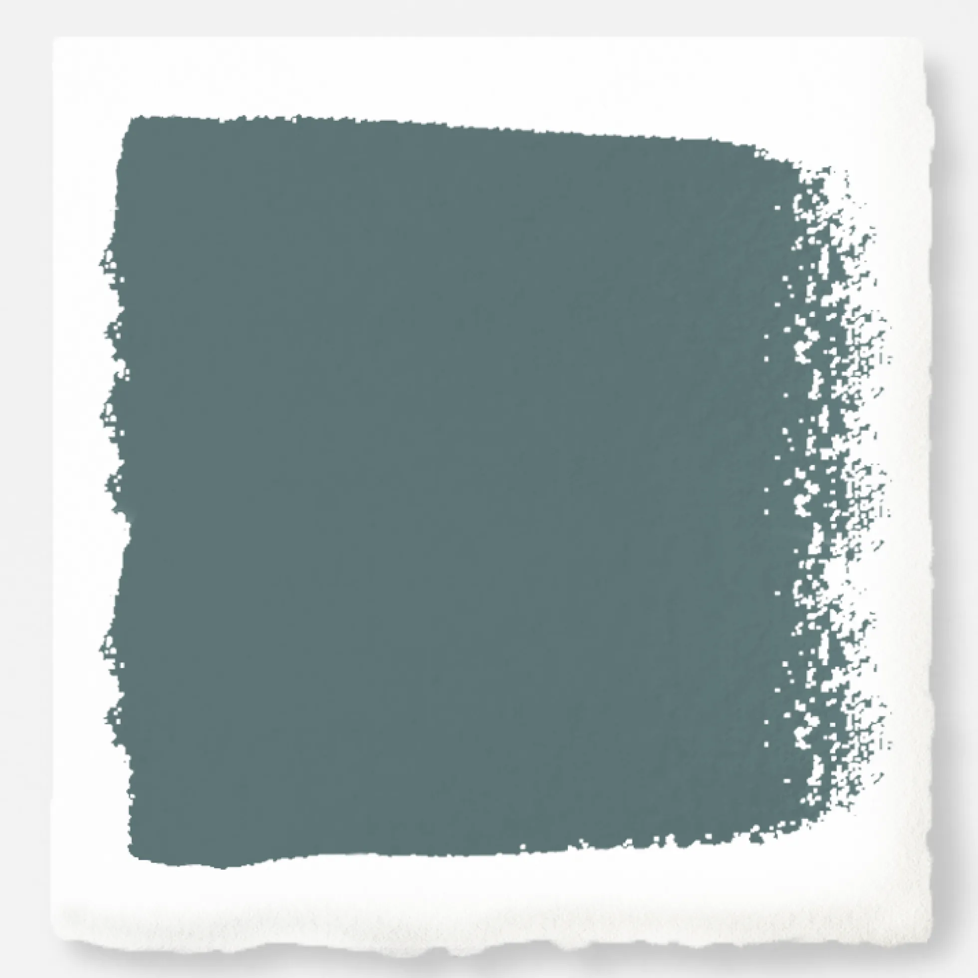 Demo Day - Premium Interior Paint