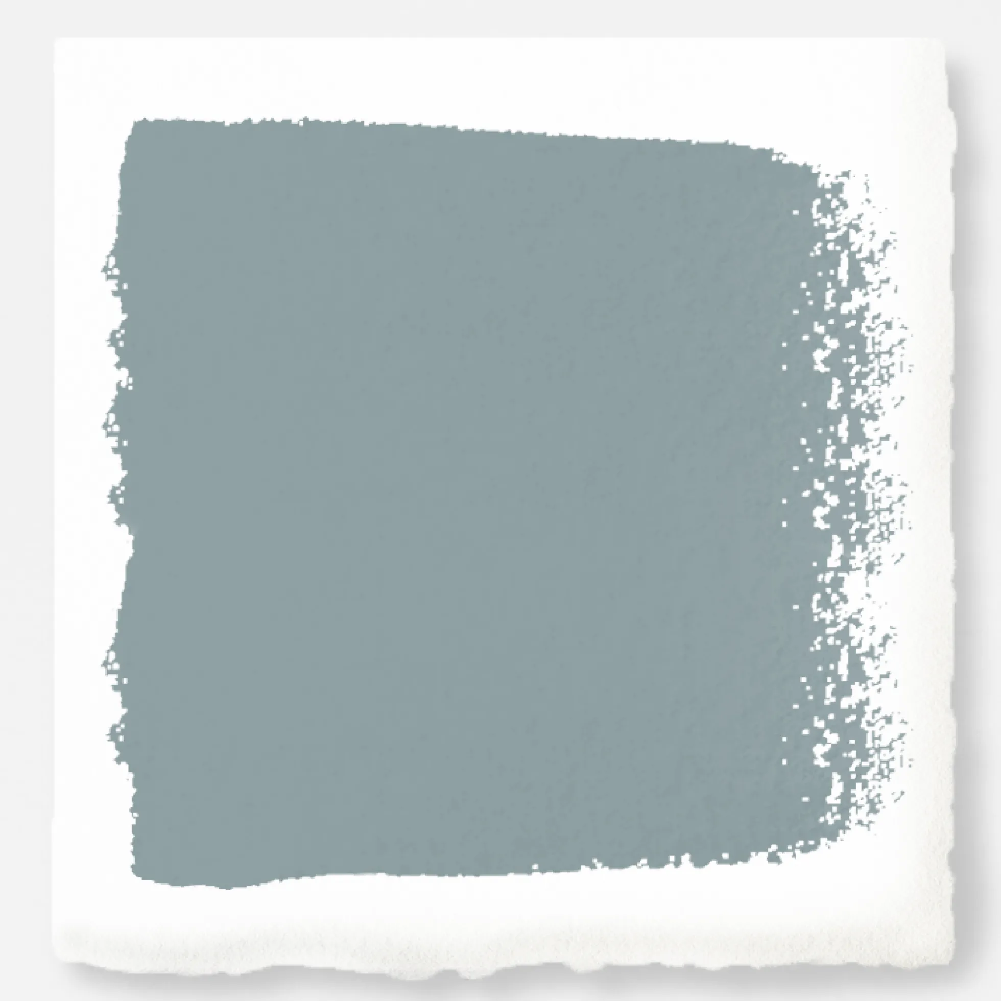 Display - Premium Interior Paint