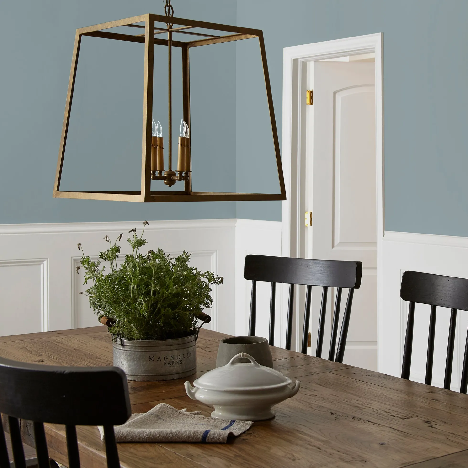 Display - Premium Interior Paint