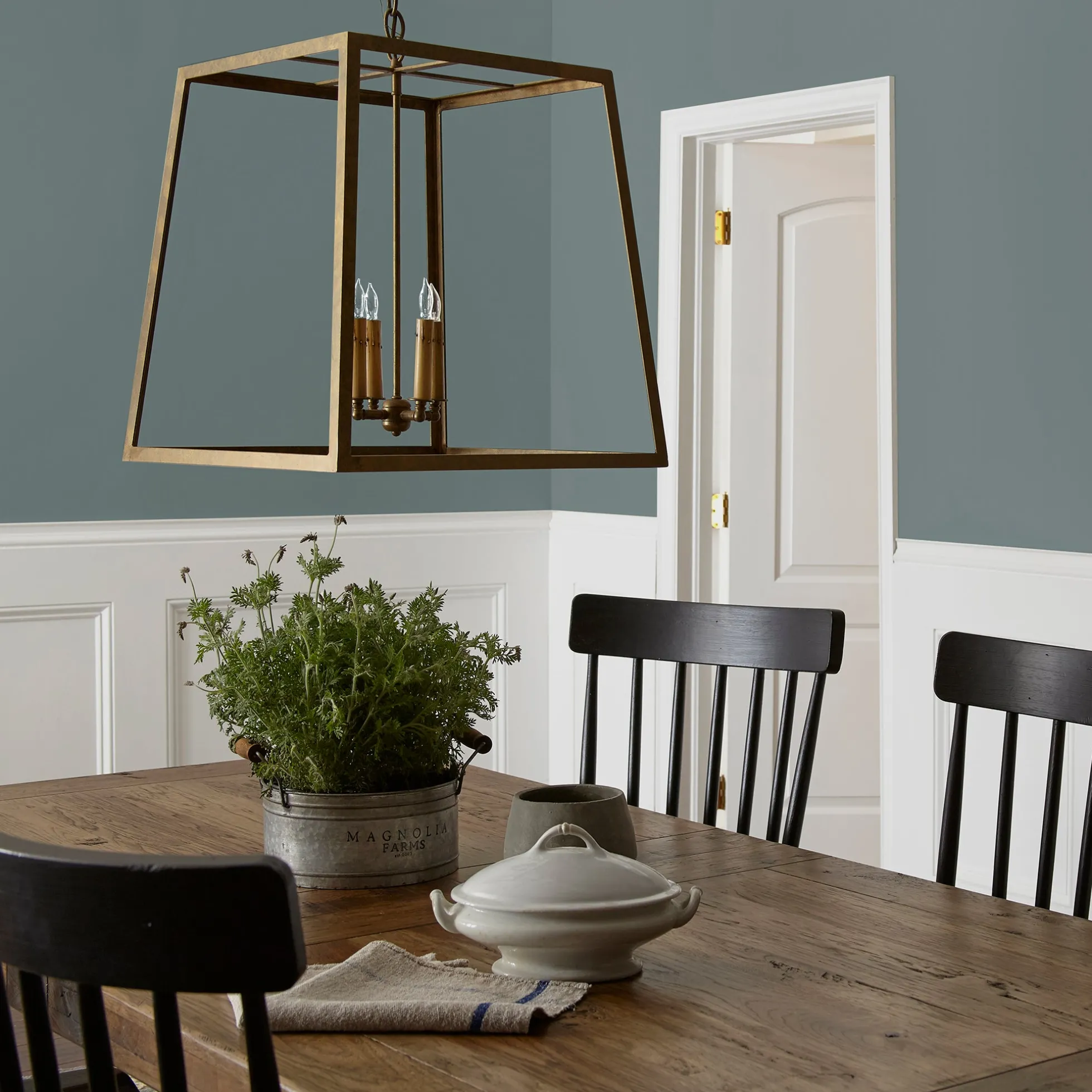 Duke Gray - Premium Interior Paint