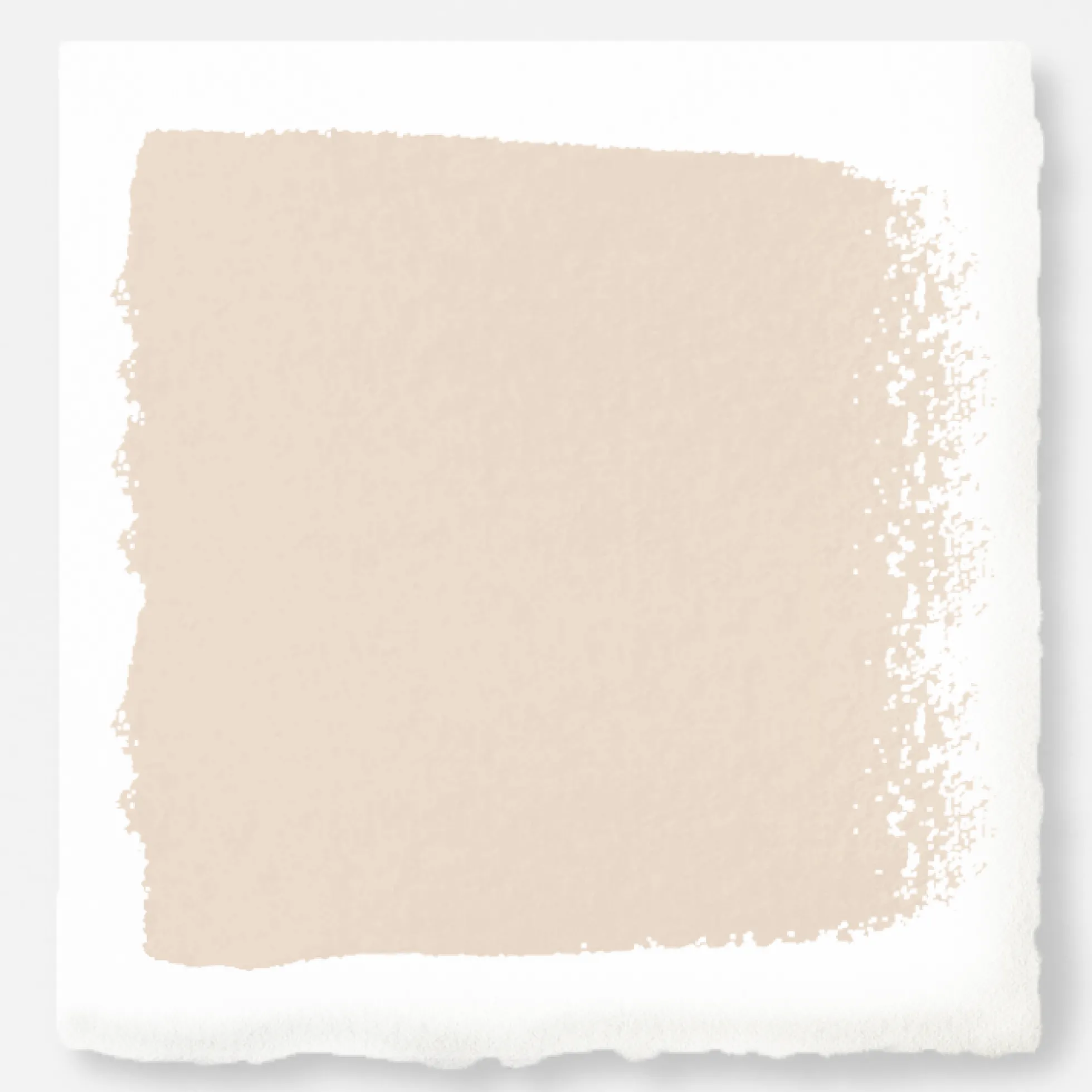 Dutch Tulip - Premium Interior Paint