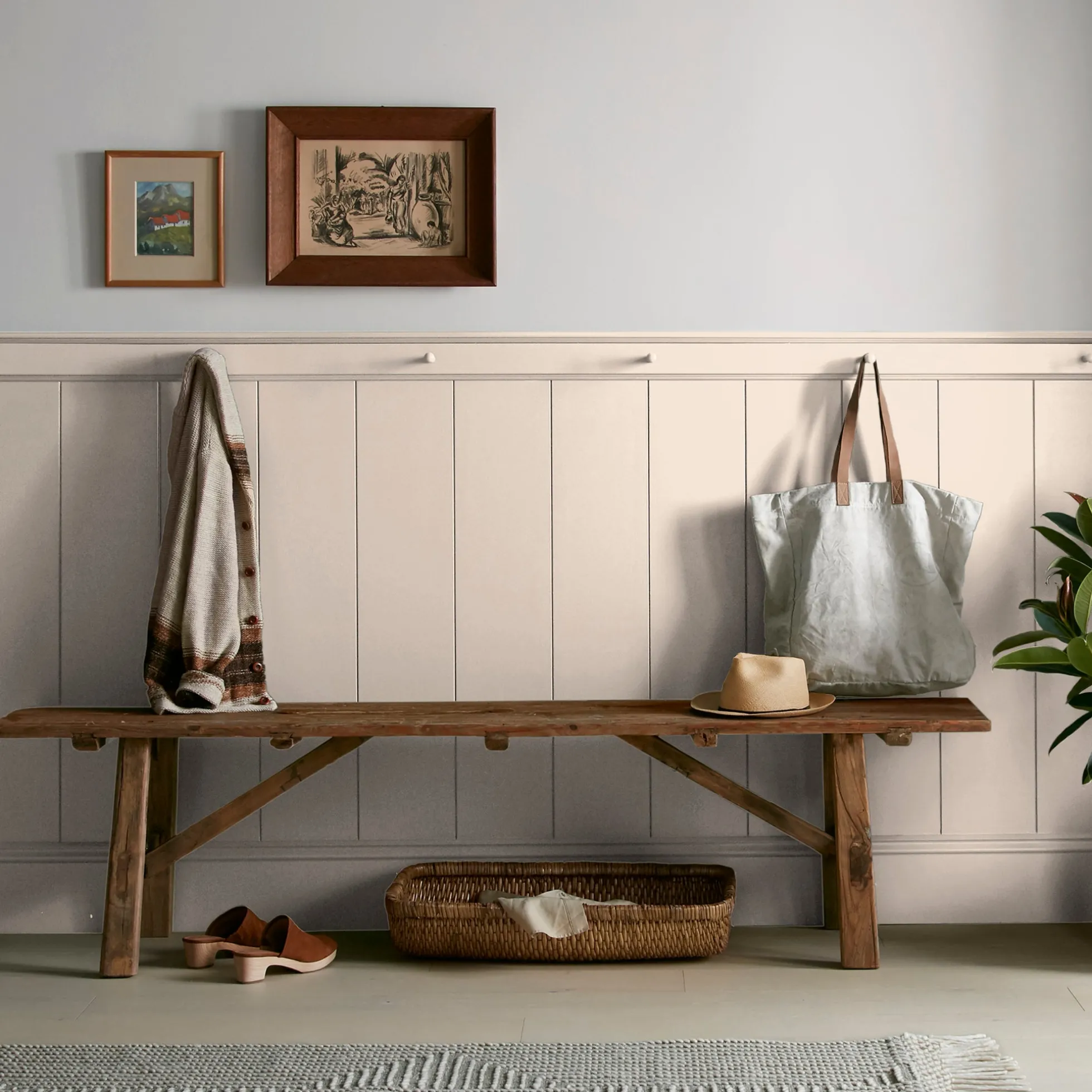 Dutch Tulip - Premium Interior Paint